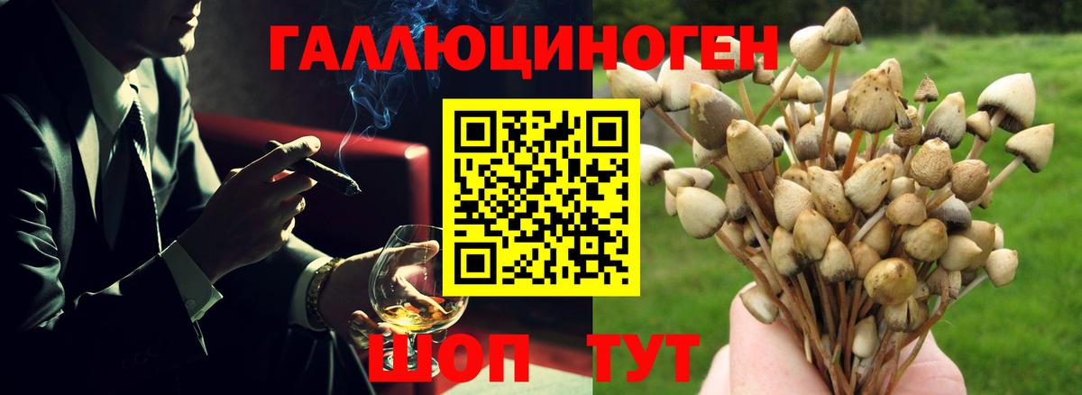 цены   Галлюциногенные грибы Cubensis  Вход с VPN  Камень-на-Оби 